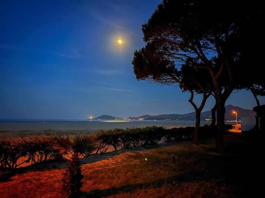 Appartement Mignon A 100M De La Plage, Argeles-Sur-Mer - 3 Personnes Экстерьер фото